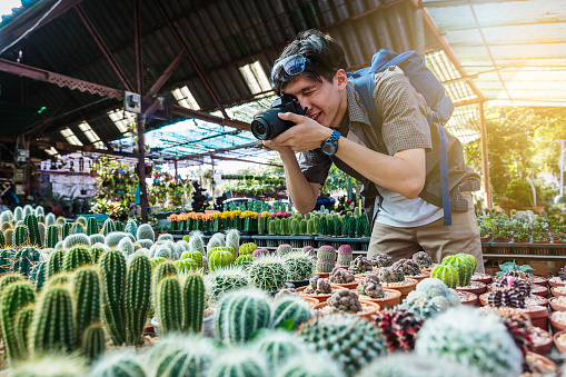 Young Asian traveller man  taking pictures with camera to cactus and other plants at traditional street market, Khonkaen city, Thailand