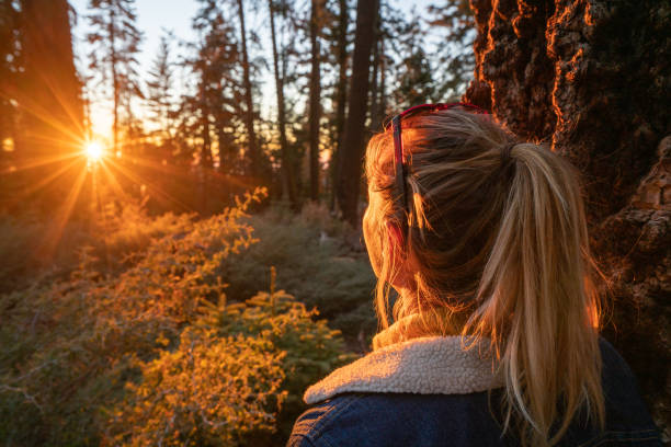 istock Young woman standing in forest looking at beautiful valley at sunset 1161578568
