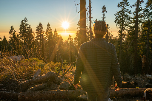 Young man standing in forest looking at beautiful valley at sunset