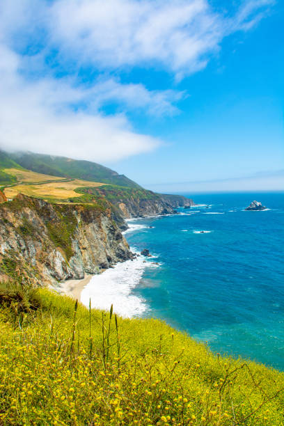 istock Beautiful California coastline along highway 1. 1161583871
