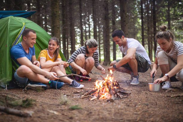 istock Cheerful campers preparing barbecue next to a campfire 1161584147
