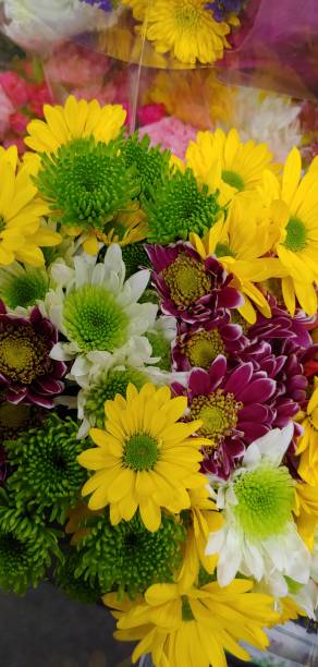 istock fresh flowers in summer 1161585742