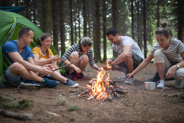 istock Cheerful campers barbecuing and having fun in the mountains 1161586421