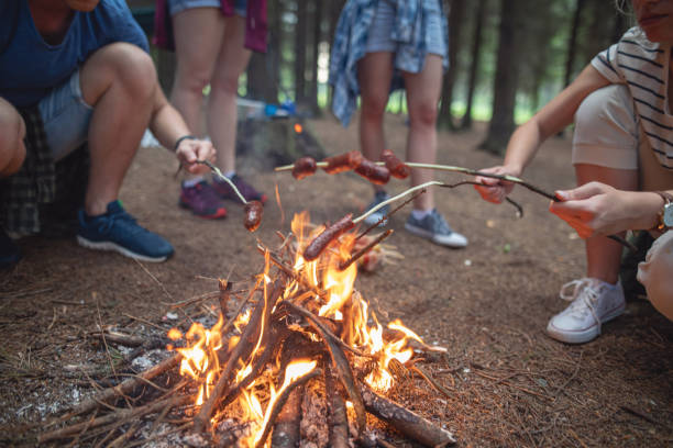istock Group of campers cooking sausages over a campfire 1161586676