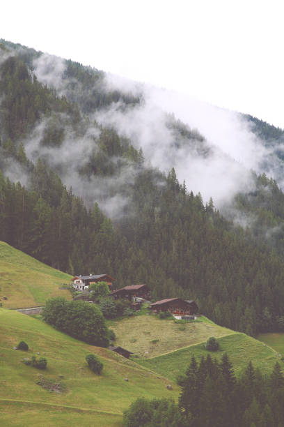 istock clouds/fog rising from a mountain forest (crushed blacks) 1161586972
