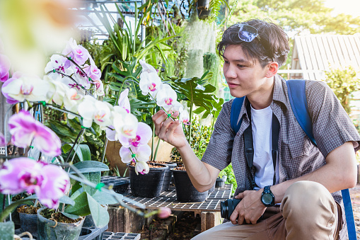 Young Asian traveller man enjoying selling orchid and other plants at traditional street market, Khonkaen city, Thailand