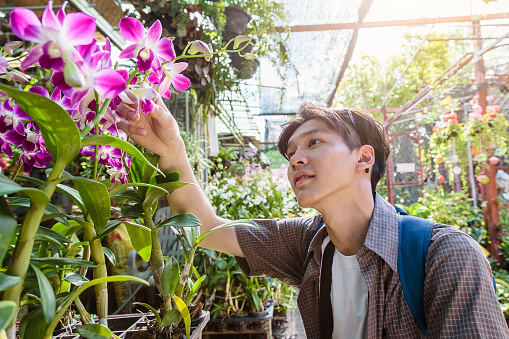 Young Asian traveller man enjoying selling orchid and other plants at traditional street market, Khonkaen city, Thailand