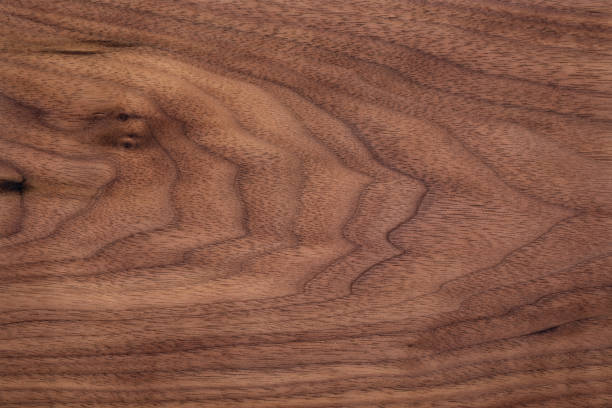 walnut natural texture, texture elements, texture background - 11992 imagens e fotografias de stock