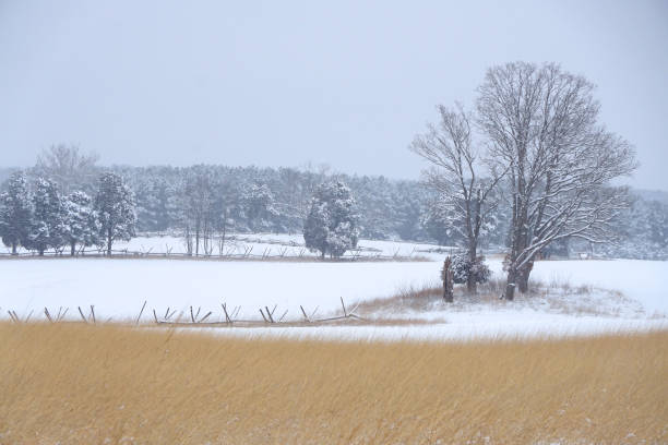 invierno en el campo de batalla - manassas war famous place park fotografías e imágenes de stock