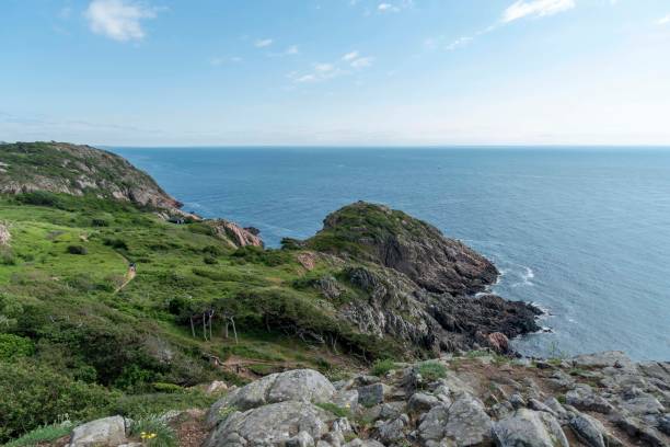 istock Sea view at Kullaberg nature reserve 1161593300