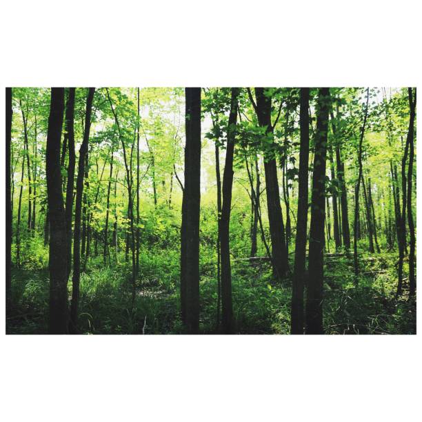 London, Ontario