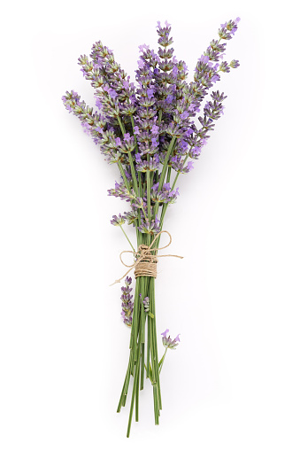 Top view of a bouquet lilac lavender flowers isolated on white background