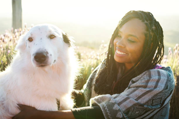 woman and a beautiful dog sitting on the floor, in a flower field - dog tranquil scene pets animals and pets imagens e fotografias de stock