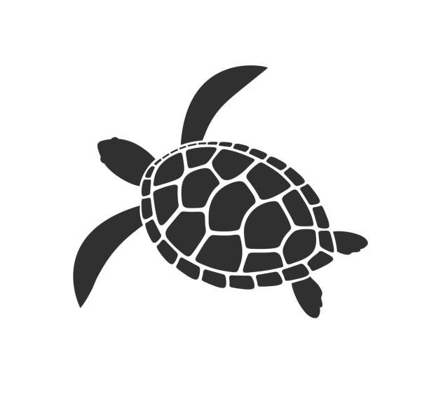 Sea turtle logo. Isolated turtle on white background. Reptile EPS 10. Vector illustration sea turtle stock illustrations