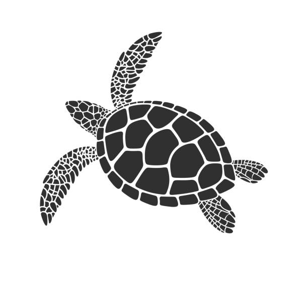 ウミガメ。白い背景に孤立したカメ。爬虫類 - turtle green sea turtle silhouette sea点のイラスト素材／クリップアート素材／マンガ素材／アイコン素材