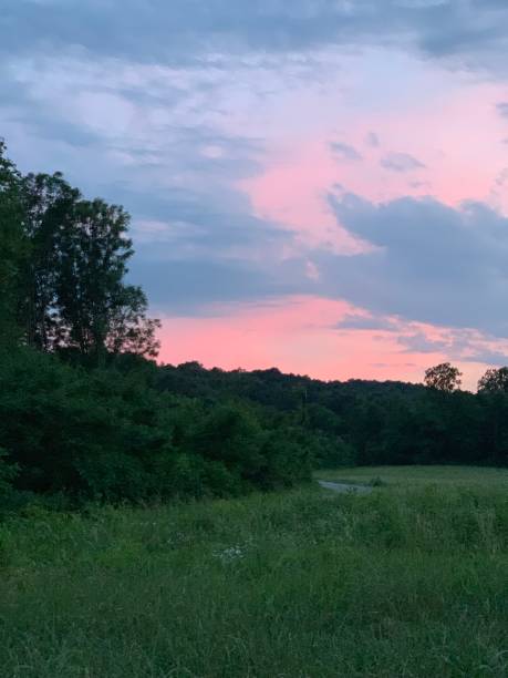 istock Sunset in the countryside 1161600198