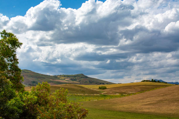 istock Landscape with pastures and wheat fields, Sicily, agriculture in Italy 1161600409