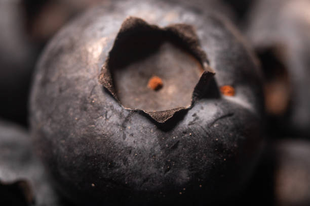Macro shot of fresh raw organic blueberries