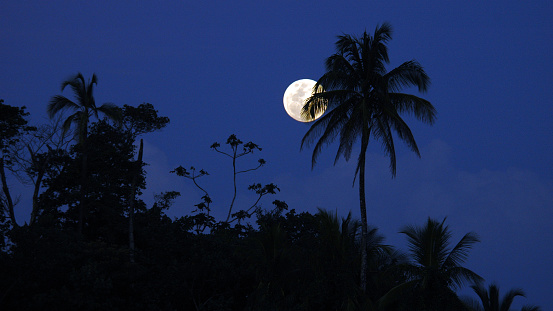 Full Moon on a tropical night in Costa Rica.