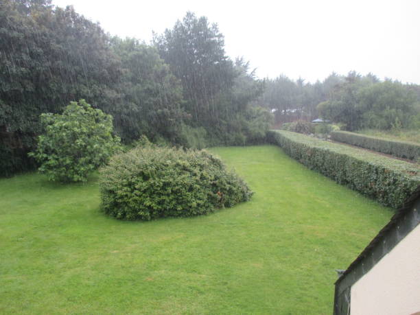 istock Rain seen from a window upstairs  Spring season 1161605408