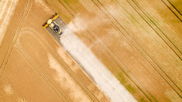 istock Harvesting a wheat field - aerial view 1161605548