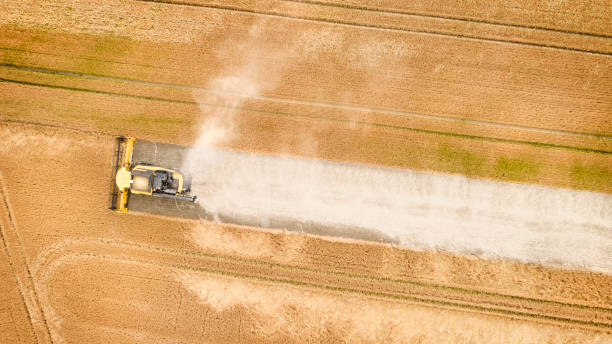 istock Harvesting a wheat field - aerial view 1161605561