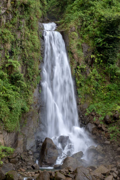 istock Tropical Island waterfall cascading over large rocks 1161610415