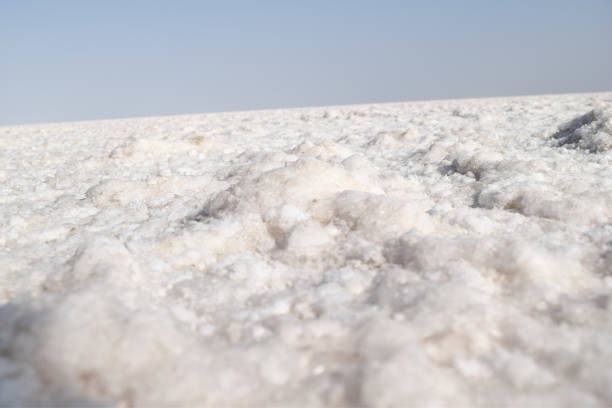 istock Natural salt desert, White Rann 1161624881