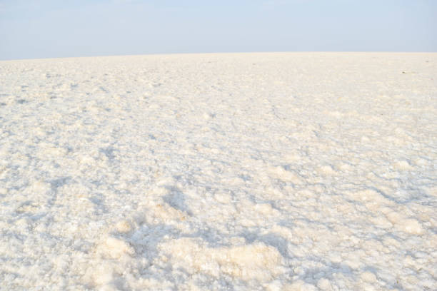 Salt desert or white desert, white rann, at Gujarat state in India