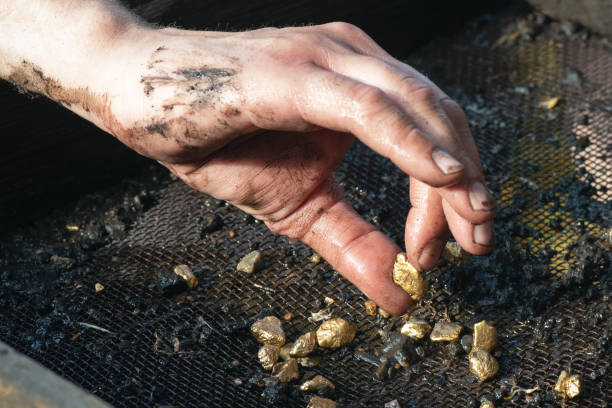 In search of gold. Sifting soil in water through the grate in search of gold concept. gold mining panning stock pictures, royalty-free photos & images