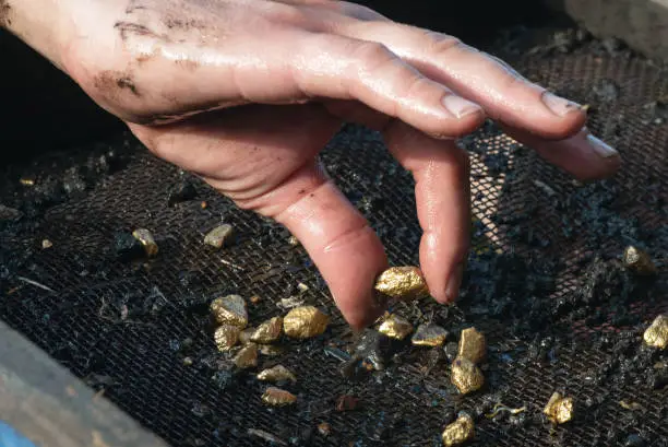 Sifting soil in water through the grate in search of gold concept.