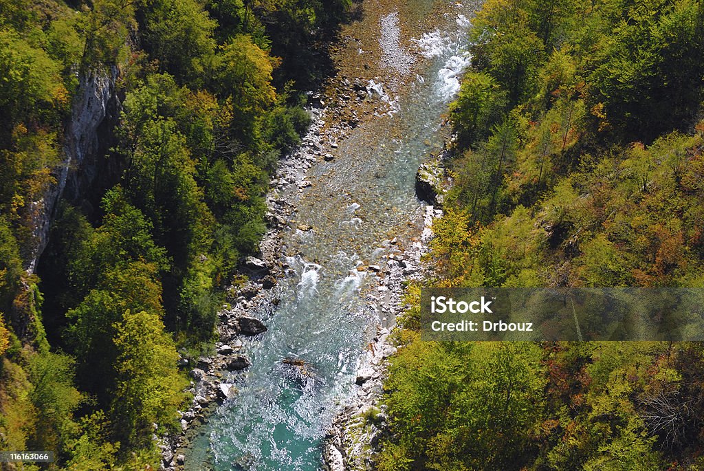 Tara - Foto de stock de Agua libre de derechos