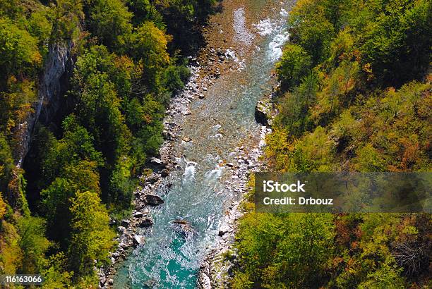 Tara Foto de stock y más banco de imágenes de Agua - Agua, Aire libre, Ancho