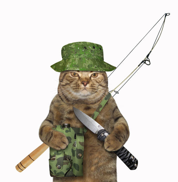 istock Cat fisher holds a jackknife 1161633885