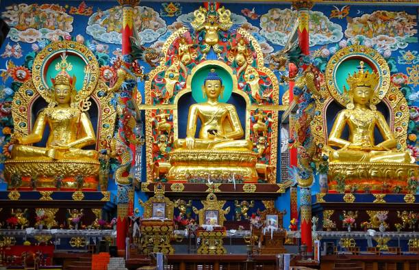 buddhas statue im buddhistischen goldenen tempel, coorg - tibetan buddhism stock-fotos und bilder