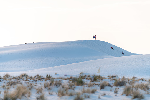 La Luz - June 9, 2018: White sands dunes national monument gypsum sand and plants in New Mexico with horizon at sunset and people family in distance