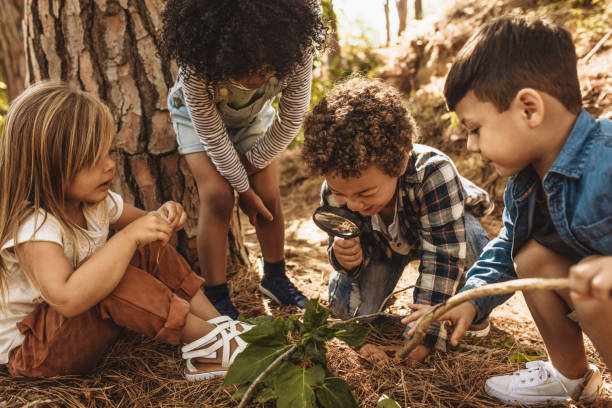 Kids in forest with a magnifying glass Children in forest looking at leaves as a researcher together with the magnifying glass. nature stock pictures, royalty-free photos & images