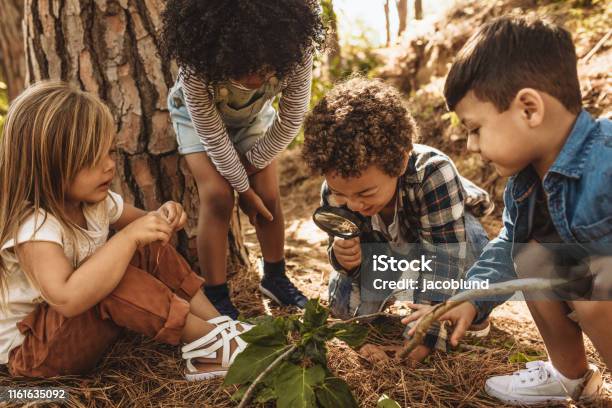 Foto de Miúdos Na Floresta Com Uma Lupa e mais fotos de stock de Criança - Criança, Brincar, Natureza