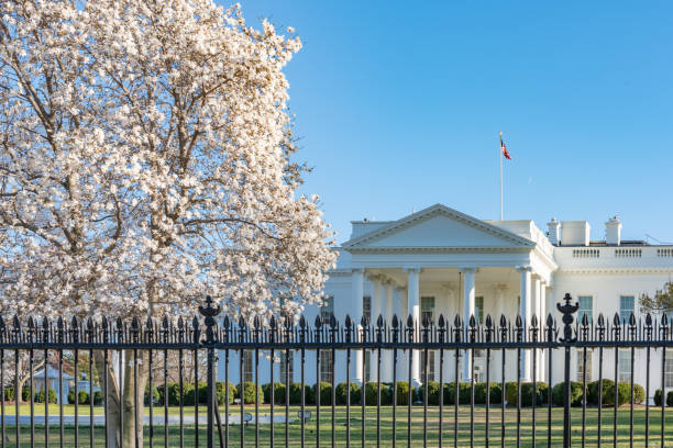 全米桜祭りの間にホワイトハウス、ワシントンdc、アメリカ合衆国 - washington dc day white house american flag ストックフォトと画像