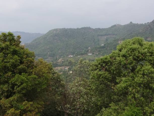 istock Nature of India 1161636100