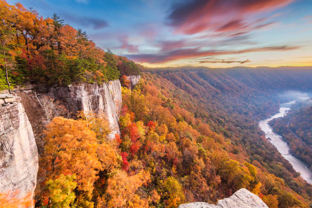 istock New River Gorge, West Virgnia, USA 1161637076