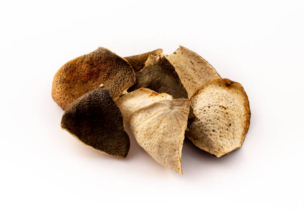 dried mandarin peel - chenpi - traditional cooking ingredients