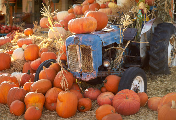 istock Farm Market Autumn Display 1161640972