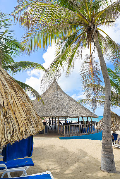 istock Tropical Island beach resort 116164261
