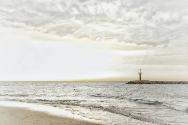 istock Alone in the sea 1161642939