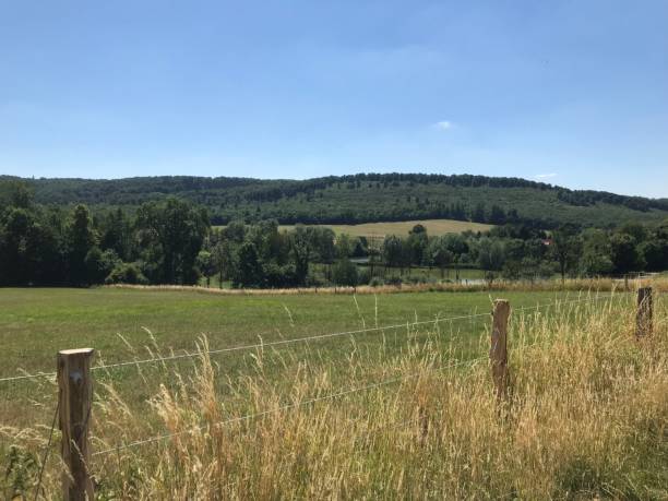 istock Beautiful landscape in summer 1161645102