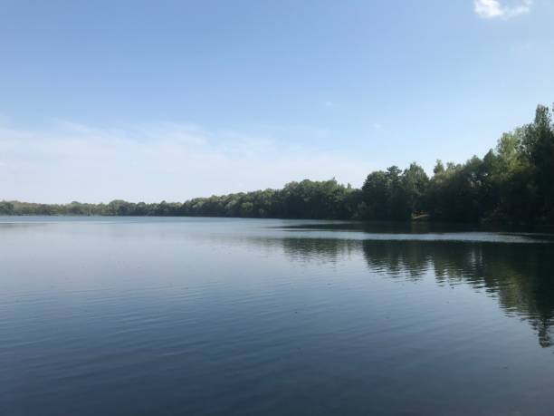 istock Lake in the forest 1161645137