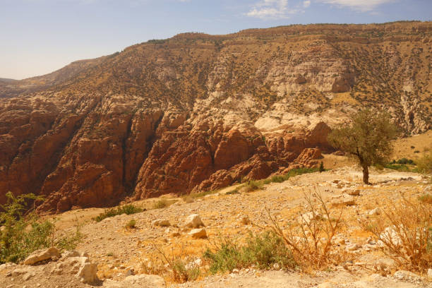 View at Dana Biosphere Reserve in Jordan. Mountains, sky, dry soil, desert trees landscape