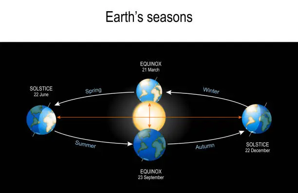 Vector illustration of Earth's Seasons. The Earth's movement around the Sun.