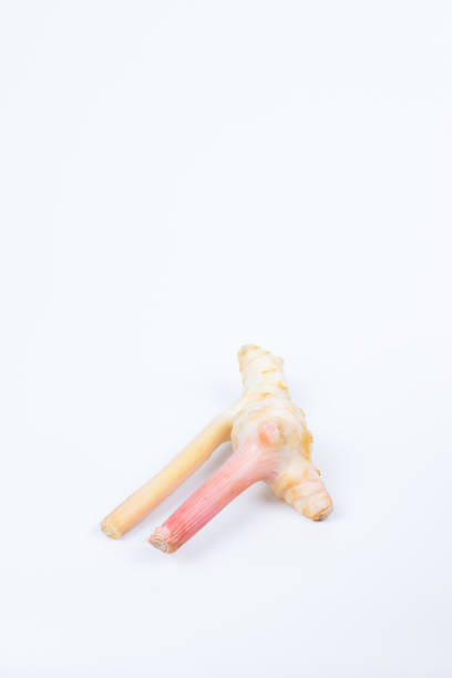 istock Galangal Head in isolated background 1161646202